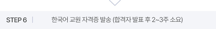 STEP06