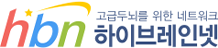 하이브레인넷